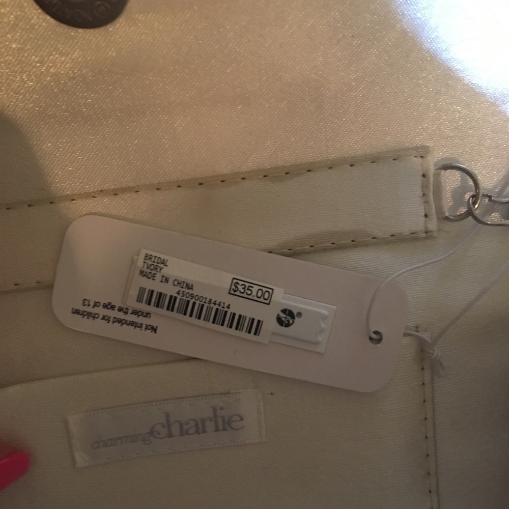 Silver formal clutch/purse